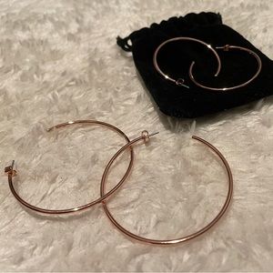 Small and Medium Rose Gold Hoop Earrings